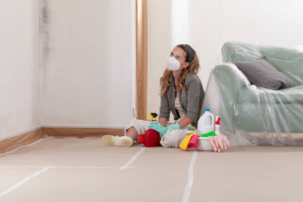 Reliable Mold Remediation contractor in Monument, CO by 24 Hour Mold Removal